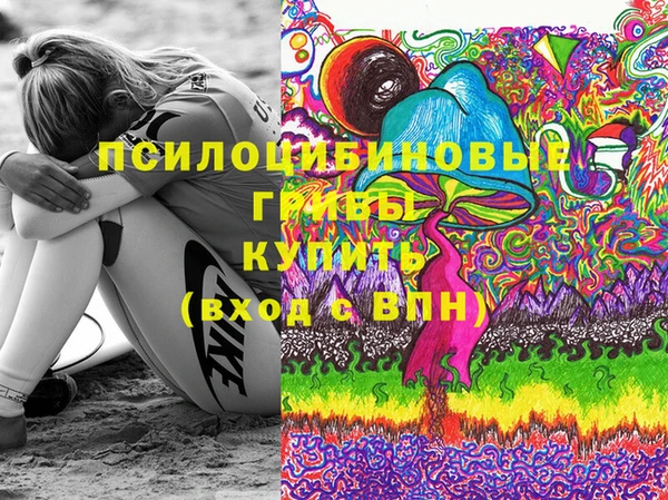 шишки Бронницы