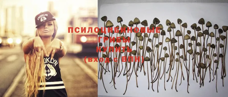 наркотики  МЕГА вход  Галлюциногенные грибы Psilocybine cubensis  Верхнеуральск 